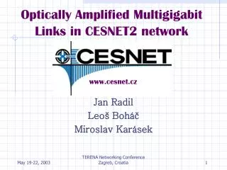 Optically Amplified Multigigabit Links in CESNET2 network