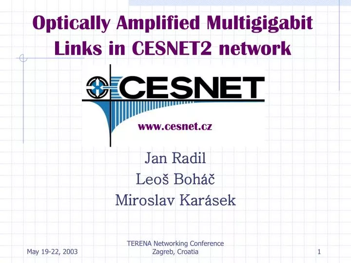 optically amplified multigigabit links in cesnet2 network