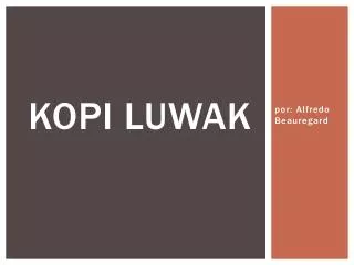 kopi luwak