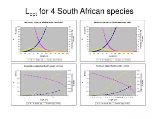L opt for 4 South African species