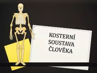 kostern soustava lov ka