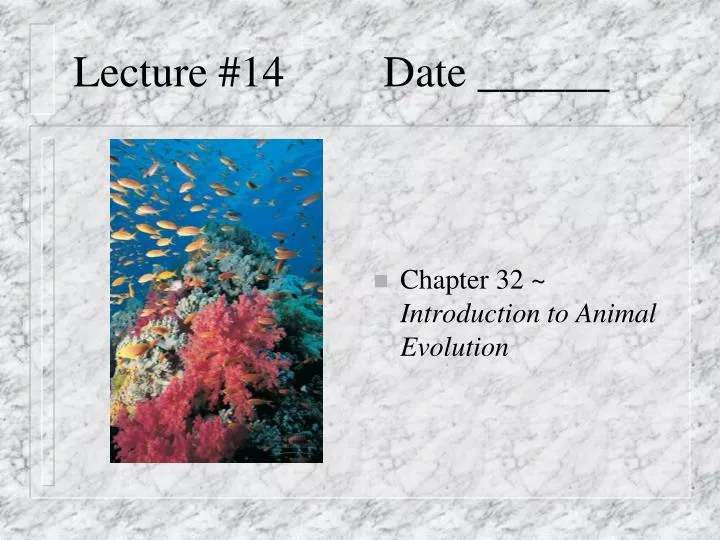 lecture 14 date