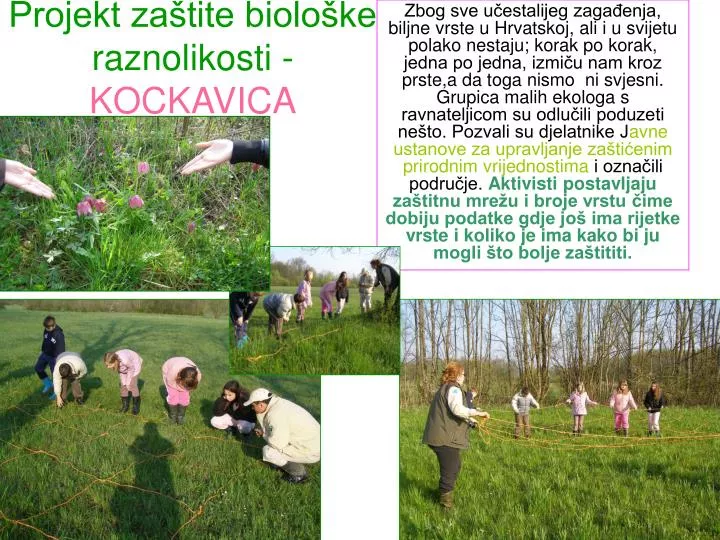 projekt za tite biolo ke raznolikosti kockavica