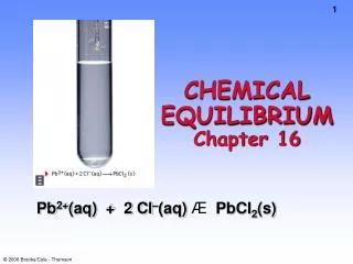 CHEMICAL EQUILIBRIUM Chapter 16