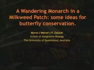 A Wandering Monarch in a Milkweed Patch: some ideas for butterfly conservation.