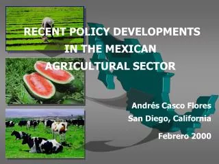 RECENT POLICY DEVELOPMENTS IN THE MEXICAN AGRICULTURAL SECTOR Andrés Casco Flores