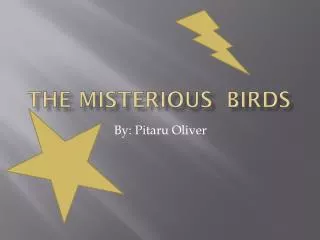 The misterious birds