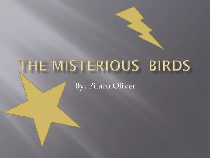 the misterious birds