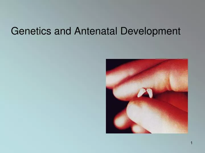 genetics and antenatal development