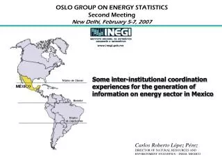 OSLO GROUP ON ENERGY STATISTICS Second Meeting New Delhi, February 5-7, 2007