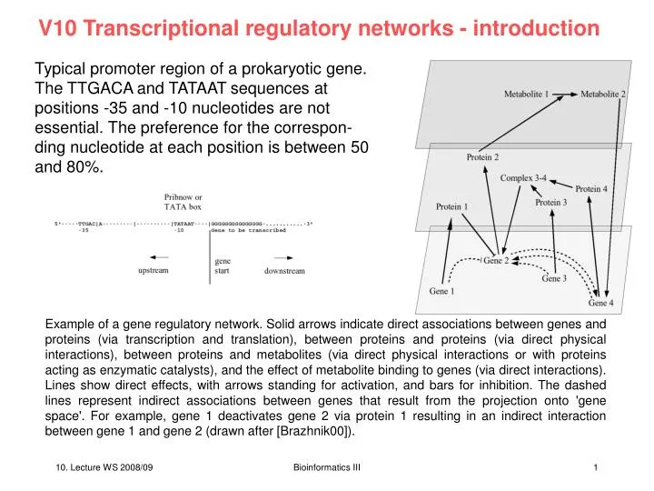 v10 transcriptional regulatory networks introduction