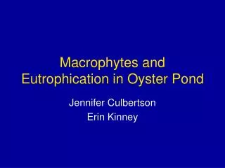 Macrophytes and Eutrophication in Oyster Pond