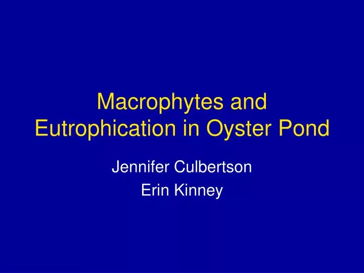 macrophytes and eutrophication in oyster pond