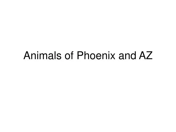 animals of phoenix and az