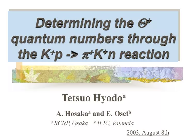 determining the q quantum numbers through the k p p k n reaction
