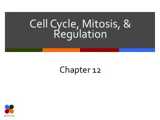 Cell Cycle, Mitosis, &amp; Regulation
