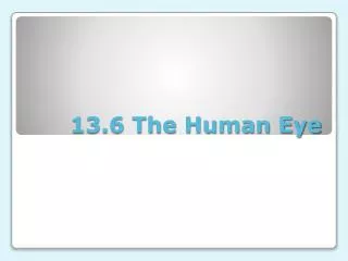 13.6 The Human Eye
