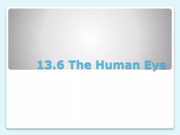 13 6 the human eye