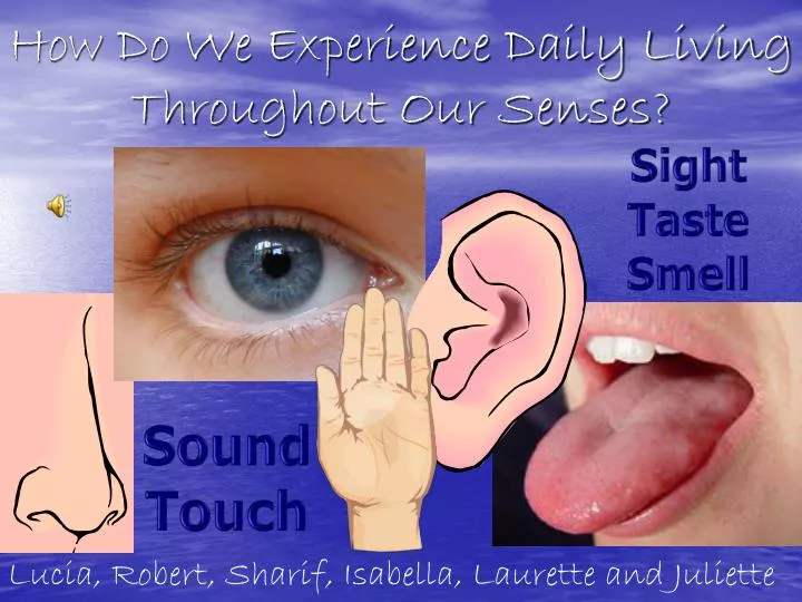 how do we experience daily living throughout our senses