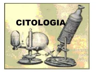 citologia