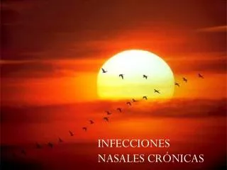 infecciones nasales cronicas