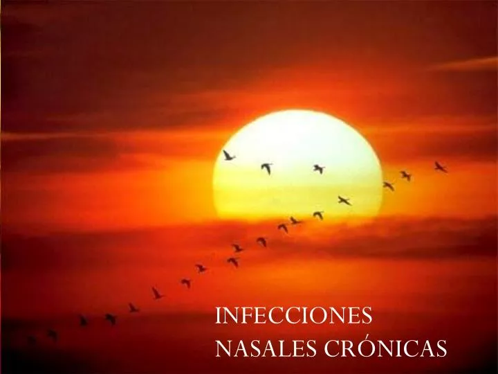 infecciones nasales cronicas