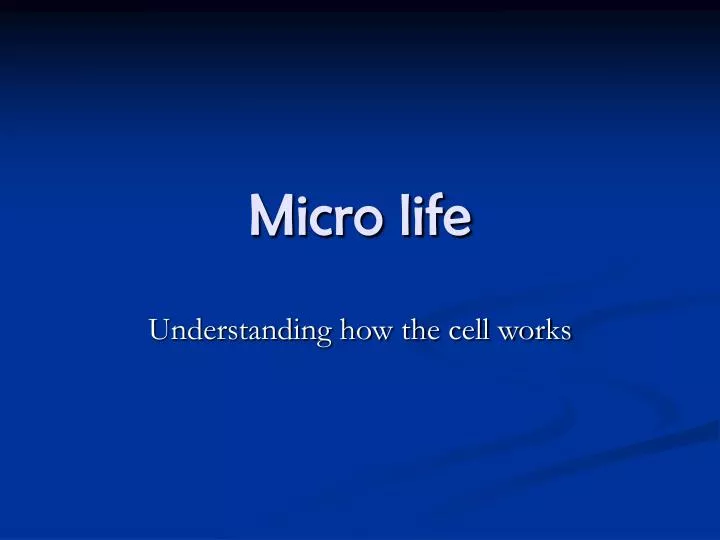 micro life