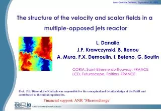The structure of the velocity and scalar fields in a multiple-opposed jets reactor