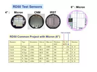 RD50 Test Sensors