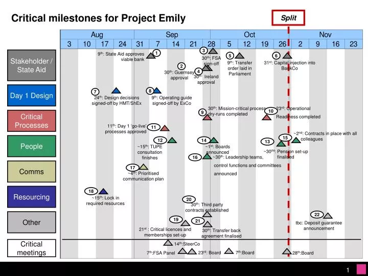 critical milestones for project emily