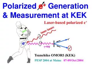 Polarized e + Generation &amp; Measurement at KEK