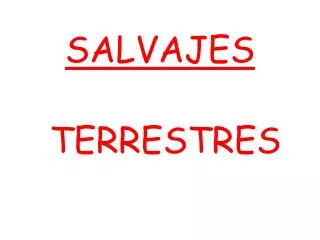salvajes