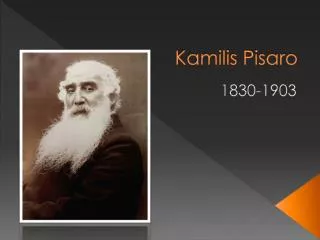 kamilis pisaro