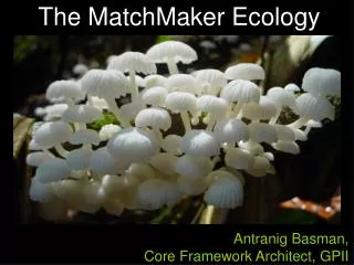 The MatchMaker Ecology