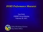 DSM2 Performance Measures