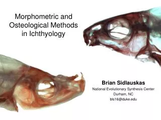 Morphometric and Osteological Methods in Ichthyology
