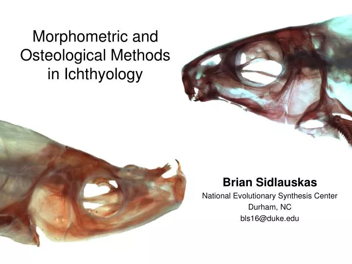 morphometric and osteological methods in ichthyology