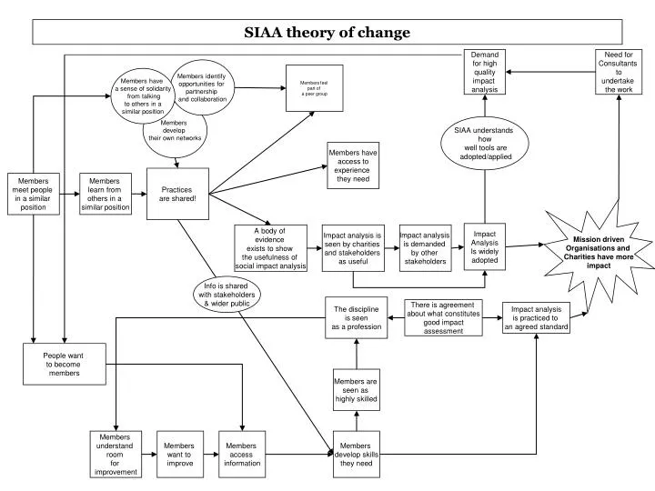 siaa theory of change
