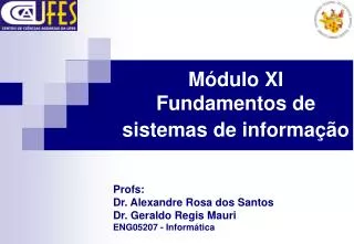 m dulo xi fundamentos de sistemas de informa o