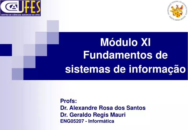 m dulo xi fundamentos de sistemas de informa o