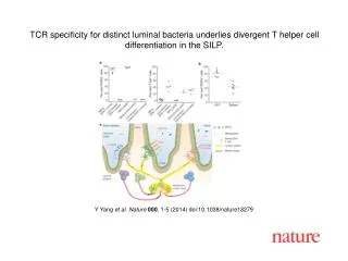 Y Yang et al. Nature 000 , 1-5 (2014) doi:10.1038/nature13279