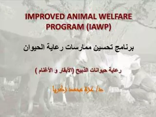 IMPROVED ANIMAL WELFARE PROGRAM (IAWP ) برنامج تحسين ممارسات رعاية الحيوان