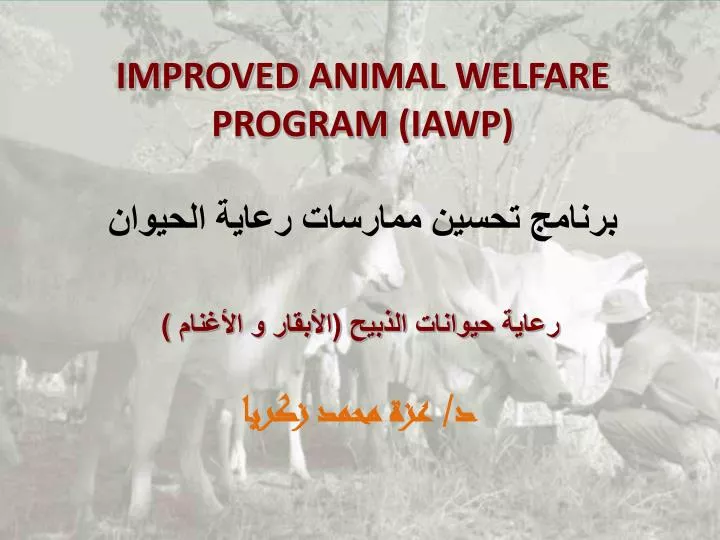 improved animal welfare program iawp