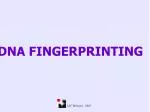 DNA FINGERPRINTING - slide 1