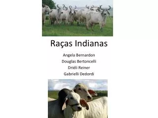 ra as indianas
