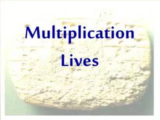 Multiplication Lives