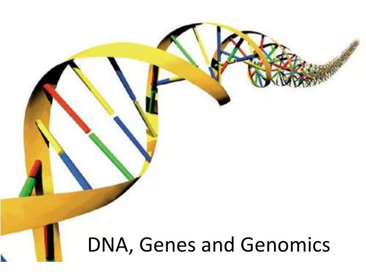 dna genes and genomics