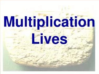Multiplication Lives