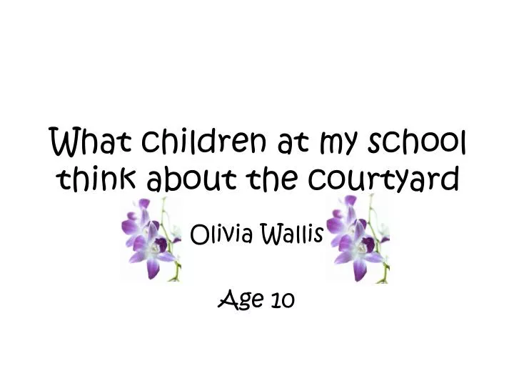 what children at my school think about the courtyard