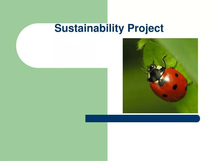 sustainability project